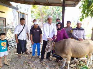 Polres Bima Kota Kurban 4 Ekor Sapi dan 1 Ekor Kambing