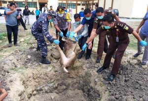 Polres Bima Kota Musnahkan Rusa Selundupan