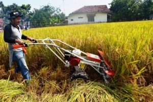 Selidiki Alsintan di Sumbawa, Kejati NTB Periksa Penerima Bantuan