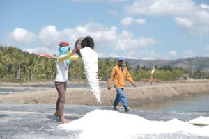 Hasil Panen Melimpah, Petani Garam di Lobar Raup Rp 3 Juta per Bulan