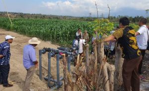 Petani Tolak Proyek Irigasi Tetes Rp 19 Miliar di Lombok Utara