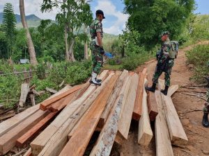 TNI Gagalkan Penyelundupan Kayu di Parado Bima, Lima Pelaku Diamankan