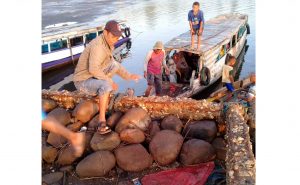 Dermaga Sarita Rusak Parah, Pemda Bima Jangan Tutup Mata