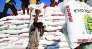 Harga pupuk subsidi masih tinggi, ”gertakan” Camat Soromandi gak mempan