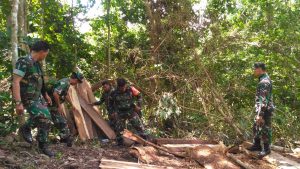 TNI Amankan Ratusan Balok Kayu Hasil Illegal Logging di Donggo