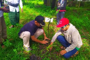 Dukung Zero Waste, Pemuda Desa Darek Tanam 1000 Pohon