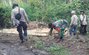 Tim Gabungan Amankan 22 Kubik Kayu Ilegal Tak Bertuan di Hutan Sumbawa