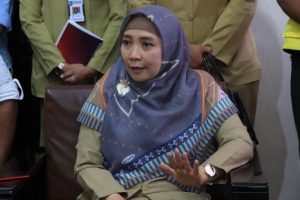 Wagub Jamin Kapal Pesiar yang Berlabuh di NTB Aman dari Virus Corona