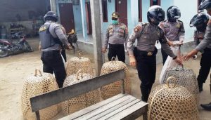 Arena Judi Sabung Ayam di Mataram Digerebek Polisi, Pelaku Lari Kocar-kacir
