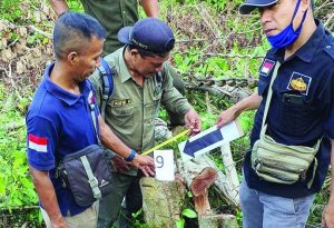 Marak illegal logging, kayu dilarang keluar Pulau Sumbawa dan Lombok