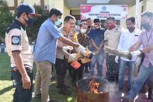 Polres Bima Kota bakar ganja 1 kilogram