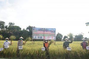Stok Ketahanan Pangan KLU Aman