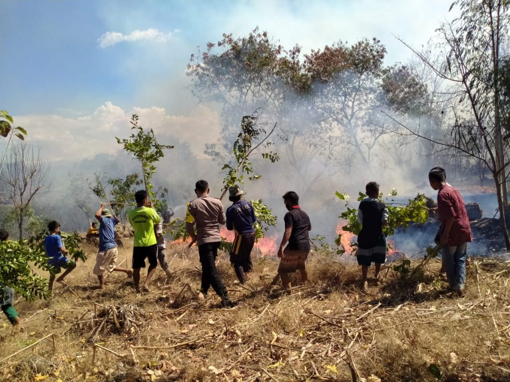 Kebakaran lahan di Desa Punti Bima, rumah warga nyaris dilahap si jago merah