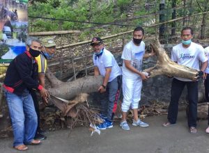 Gaungkan Ayo Kembali ke Senggigi, Sekda Lobar Rela Bergumul dengan Sampah