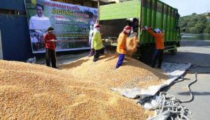Kejagung akan limpahkan penanganan kasus pengadaan benih jagung ke Kejati NTB