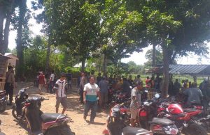 Polsek Woha Bubarkan Judi Sabung Ayam di Samili Bima