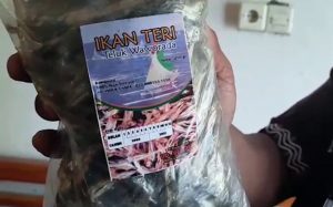 Kasus pengadaan ikan teri JPS Gemilang, Kejati NTB tunggu hasil audit BPK