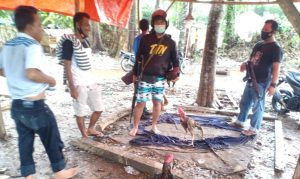 Polisi gerebek judi sabung ayam di Woha dan Madapangga, pelaku lari kocar-kacir 