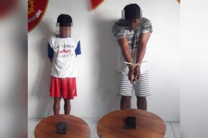Dua pelaku jambret HP wanita di Moyo Utara Sumbawa ditangkap polisi