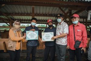Sidang kasus dugaan TMS Mo-Novi di Bawaslu seret bansos sapi Gubernur NTB