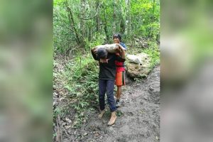 Tak punya uang, gadis cilik asal Sumbawa Barat rela jadi buruh angkut batu emas demi beli beras