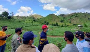 Hutan Dompu gundul, Gubernur NTB: petugas bingung mau nangkap siapa, yang rambah hampir sekampung