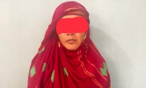 Polisi tangkap ibu rumah tangga pengedar sabu di Parado Bima
