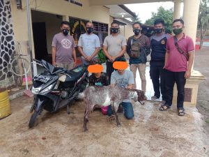 Seorang pelajar SMA di Kota Bima ditangkap saat hendak jual ternak curian di Tente