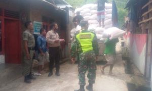 Marak penjarahan, polisi dan tentara kawal penyaluran pupuk bersubsidi di Bima