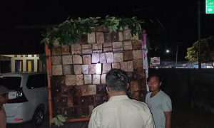 Polisi amankan dua truk bermuatan kayu diduga ilegal di Dompu