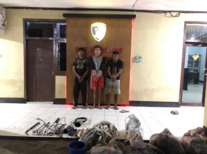 Tiga pencuri ternak yang beraksi di Doroncanga Dompu ditangkap polisi