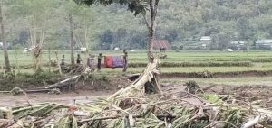 Banjir bandang Bima, satu meninggal, tujuh kecamatan dan 30 desa terdampak