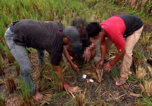 Nekat edarkan sabu di bulan puasa, pria di Lombok ditangkap polisi