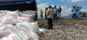 Pecah Ban, Truk Bermuatan 10 Ton Pupuk Terguling di Soromandi Bima