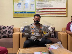 Polres Dompu Bekuk Bandar Narkoba Jaringan Lintas Provinsi, Sita 2 Kilo Ganja