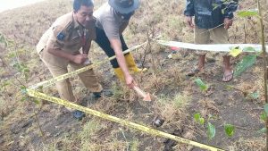 Warga Temukan Granat Peninggalan Jepang di Lunyuk Sumbawa