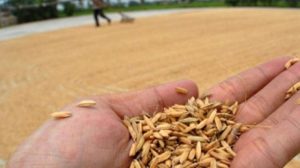 Kasus Korupsi Bantuan Petani di Bima Rugikan Negara Rp5,1 Miliar