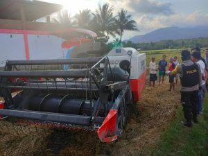 Innalillahi, Pelajar SMP Tewas Dilindas Mobil Pemanen Padi di Bolo Bima