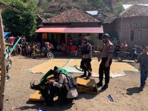 Polisi Sapu Bersih Judi Sabung Ayam di Kota Bima, Kali Ini Gerebek di Jatiwangi