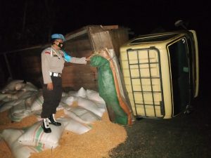 Truk Bermuatan Jagung 7 Ton Terguling di Tanjakan Punti Soromandi