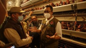 Dompu Miliki Potensi Bahan Baku Pakan, Gubernur NTB: Kita Dapat Menjadi Daerah Swasembada Telur dan Daging