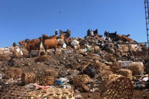 Gunungan Sampah Gili Trawangan Bakal Didaur Ulang