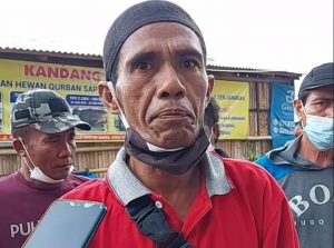 Pedagang Sapi Asal Bima Tertipu Rp1,4 Miliar, Uang Penjualan Hewan Kurban Dibawa Kabur Pecatan TNI