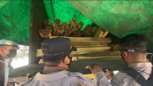 Polisi Gagalkan Penyelundupan 12 Kubik Kayu Ilegal di Pelabuhan Poto Tano 