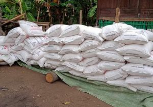 Sengkarut Masalah Pupuk Subsidi di Bima: Dijual Harga Tinggi, Transaksi tanpa Kwitansi, Bupati Jangan Tutup Mata 