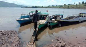 Dermaga Punti Bima Sudah Dangkal, Pemilik Bot Bikin Jembatan Alternatif dari Kayu
