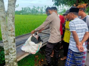 Bayi Dibuang di Pinggir Jalan, Orang Tua Tinggalkan Surat Wasiat: Tolong Dikuburkan dengan Baik