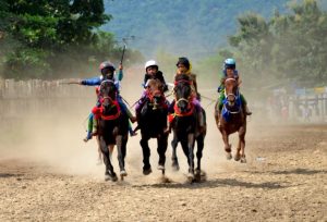Joki Cilik di Bima Meninggal Usai Jatuh saat Latihan Pacuan Kuda