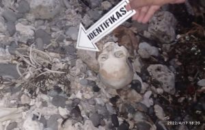 Warga Temukan Tengkorak Manusia di Pinggir Pantai Mantau Bima