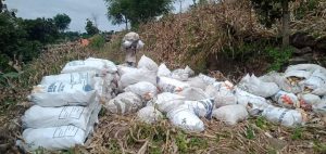 Harga Jagung Masih Murah, Gubernur Diminta Berkordinasi dengan PT DNA Untuk Beroperasi di Bima